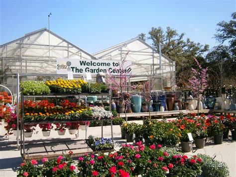 The garden center - Houston Garden Centers, a Houston-based nursery offering the largest selection of shrubs, flowers, mulches and trees. Also sells grass, fertilizers, soil, gardening tools and gift cards.